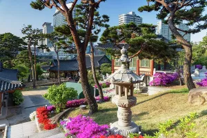 Grounds Prints: Bongeunsa Temple and skyscrapers, Gangnam, Seoul, Seoul Metropolitan Area, South Korea