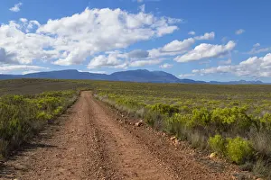 The Overberg Prints: Bontebok National Park, Western Cape, South Africa