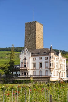 Boosemburg Castle, Rudesheim, Rhineland-Palatinate, Germany