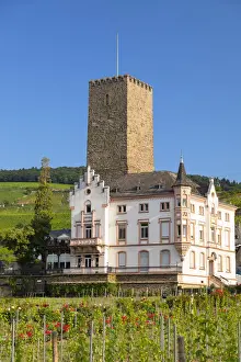 Boosemburg Castle, Rudesheim, Rhineland-Palatinate, Germany