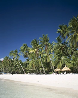Boracay Beach / Palm Trees & Sand, Boracay Island, Philippines