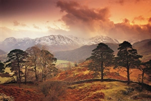 Country Side Gallery: Borrowdale, Lake District, Cumbria, England