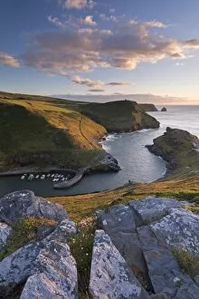 Images Dated 26th August 2014: Boscastle Harbour from the coast path, Cornwall, England. Summer (August)