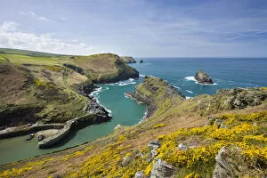 Boscastle Harbour from Penally Hill, North Cornwall, England. Spring (April) 2009