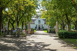 Boschendal Wine Estate, Stellenbosch, Western Cape, South Africa
