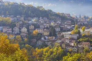South Eastern Europe Prints: Bosnia and Herzegovina, Sarajevo, View of Alifakovac graveyard (where Muslim foreigners