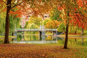 Public Garden Prints: Boston Common and Public Garden Boston, Massachusetts, USA