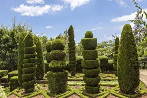 Funchal Prints: Botanical Garden, Funchal, Madeira, Portugal