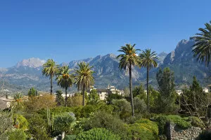 Botanical Garden in Soller, Serra de Tramuntana, Majorca, Balearics, Spain