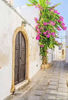 Rhodes Prints: Bougainvillea in an alley in Lindos, Dodecanese Islands, Greece