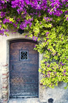 Bougainvillea over Old Door, St. Paul de Vence, Cote d Azur, France