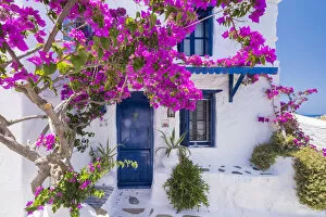 Door Gallery: Bougainvillea & traditional house, Skopelos Town, Skopelos, Sporade Islands, Greece