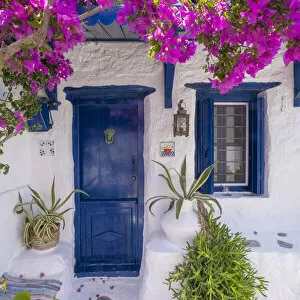 Images Dated 30th June 2022: Bougainvillea & traditional house, Skopelos Town, Skopelos, Sporade Islands, Greece