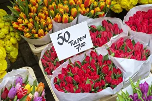 For Sale Prints: Bouquets of tulips for sale in the Bloemenmarkt floating flower market, Amsterdam