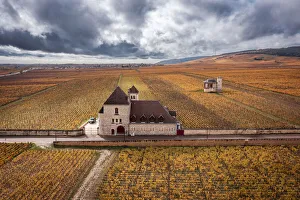 Harvest Prints: Bourgogne wine region (Burgundy)