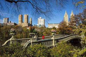 Images Dated 19th November 2015: Bow Bridge, Central Park, Manhattan, New York City, New York, USA