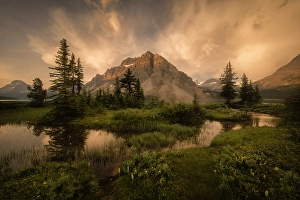 Bow Lake Prints: Bow Lake, Banff National Park, Alberta, Canada