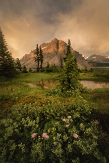 Alberta Prints: Bow Lake, Banff National Park, Alberta, Canada