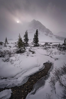 Bow Lake Prints: Bow Lake, Banff National Park, Alberta, Canada