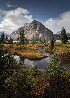 Bow Lake Prints: Bow Lake, Banff National Park, Alberta, Canada
