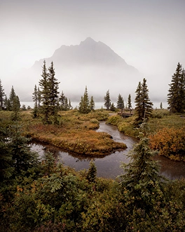 Alberta Prints: Bow Lake, Banff National Park, Alberta, Canada