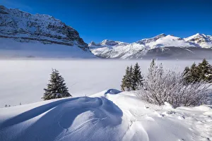 Pine Trees Prints: Bow Lake in Winter, Banff National Park, Aberta, Canada