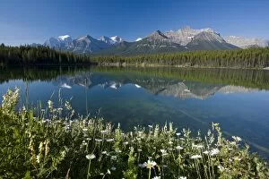 Bow Mountain Range and Herbert Lake