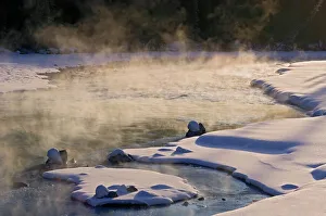 Images Dated 20th April 2023: Bow Valley. Mist at sunrise on Bow River. Icefields Parkway. Banff National Park