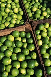 Fruit Gallery: Boxes of limes