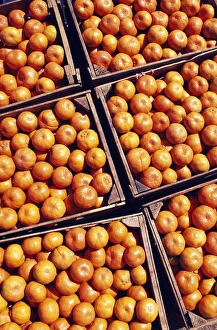 Market Stall Prints: Boxes of Satsumas