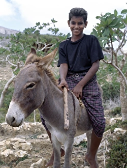Donkey Prints: A boy rides home after school on a donkey in the Homhil Mountains