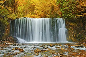 Seasons Prints: Boyne River at Hoggs Falls in autumn Near Flesherton, Ontario, Canada