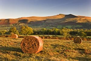 Powys Gallery: Bracken bales on Mynydd Illtud Common, looking towards Corn Du and Pen y Fan in the