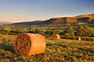 Bracken bales on Mynydd Illtud Common in the Brecon Beacons National Park, Powys, Wales
