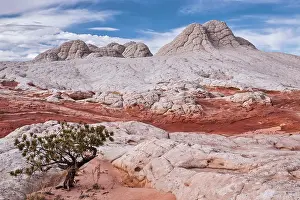 Desolate Prints: Brain rocks at White Pocket in the Vermilion Cliffs National Monument, Arizona, USA