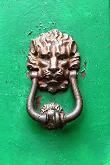 Brass Prints: Brass lion head door knocker on green door