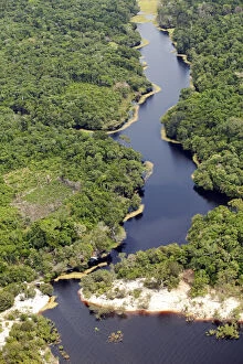 Biodiversity Collection: Brazil, Amazon, Aerial view of Amazon forest and a black-water creek (Igarape)