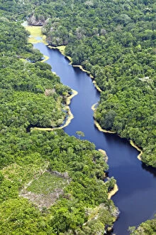 Images Dated 19th October 2012: Brazil, Amazon, Aerial view of an igapo (black water creek) in the Amazon forest near