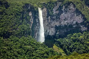 Images Dated 21st February 2023: Brazil, Amazonas, Amazon, Rio Negro, Serra do Araca State Park, Araca tepui