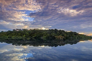 Images Dated 14th September 2017: Brazil, Brazilian Amazon, Amazonas state, Amazon Ecopark lodge scenes