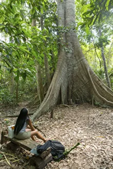 Brazil, Brazilian Amazon, Para, hikers in front of a giant kapok tree in the Amazon