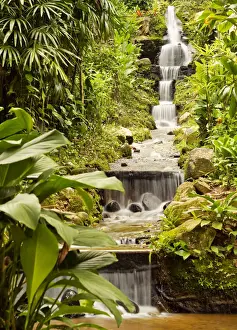 Zona Sul Prints: Brazil, City of Rio de Janeiro, Waterfall in the Botanical Garden of Rio de Janeiro