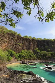Brazil, Fernando de Noronha, Fernando de Noronha Marine National Park, Porco s