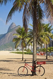 Images Dated 29th July 2010: Brazil, Rio De Janeiro, Leblon beach, Bike leaning on palm tree