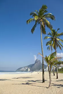 Brazil, Rio De Janeiro, Palm trees on Leblon beach