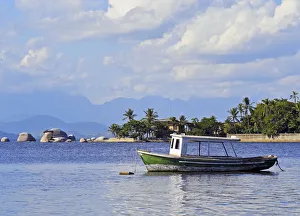 Brazil, State of Rio de Janeiro, Guanabara Bay, Paqueta Island, Boat near the coast