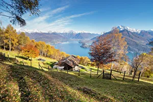 Como District Prints: Bregagno mount with Como lake in background during autumn