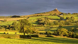 Images Dated 18th May 2016: Brentor Church above rolling Dartmoor countryside, Devon, England. Summer (August) 2015