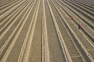 Brick kilns are one of the main cause of climate change, Dhaka, Bangladesh
