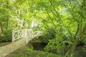 Summerly Prints: Bridge in the park of Evenburg Castle near Leer, East Frisia, Lower Saxony, Germany